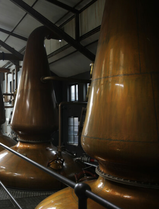 Webimage 7B8161D7 10E6 469B 8ADB5115E98076CB