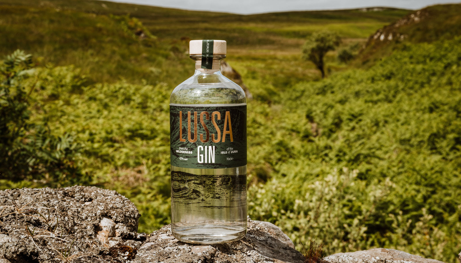 0Ef0b3935ffdbfd82879c5cec4d5582c3fa8b226